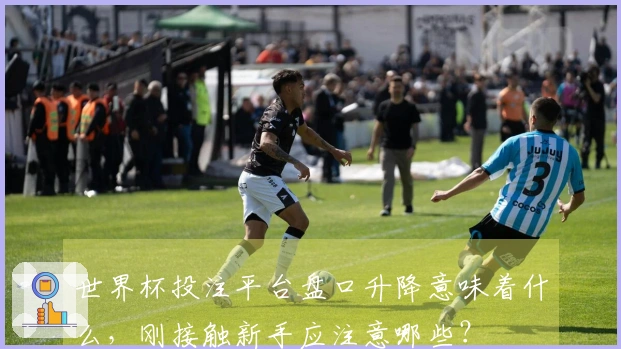 世界杯投注平台盘口升降意味着什么，刚接触新手应注意哪些？