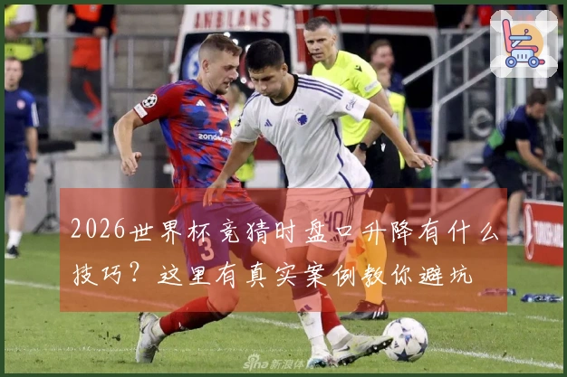 2026世界杯竞猜时盘口升降有什么技巧？这里有真实案例教你避坑