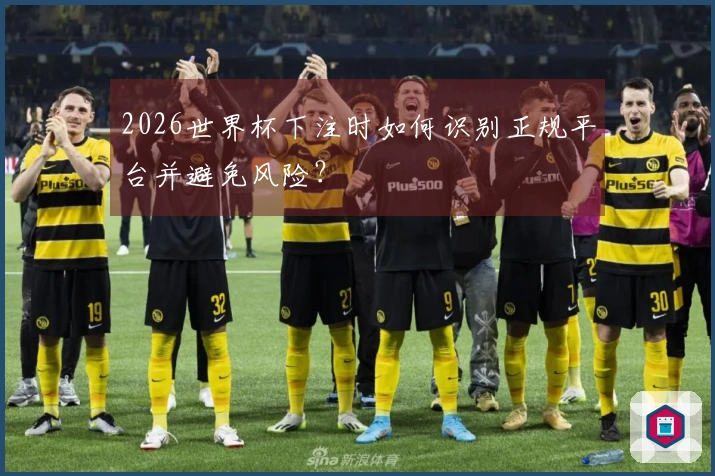 2026世界杯下注时如何识别正规平台并避免风险？
