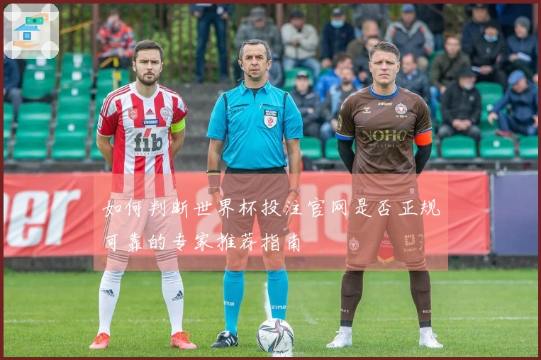 如何判断世界杯投注官网是否正规可靠的专家推荐指南