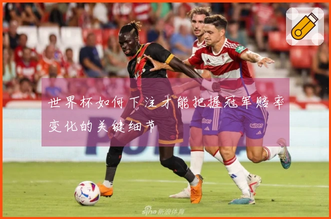 世界杯如何下注才能把握冠军赔率变化的关键细节