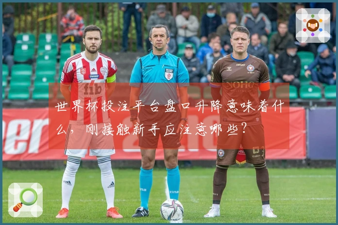 世界杯投注平台盘口升降意味着什么，刚接触新手应注意哪些？