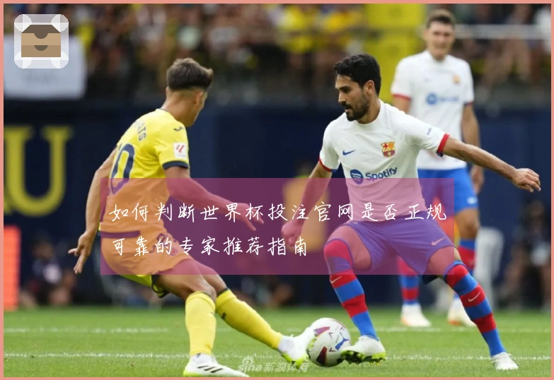 如何判断世界杯投注官网是否正规可靠的专家推荐指南